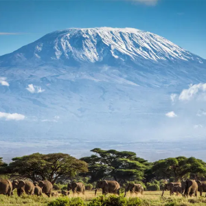 A Day Hike At Mount Kilimanjaro