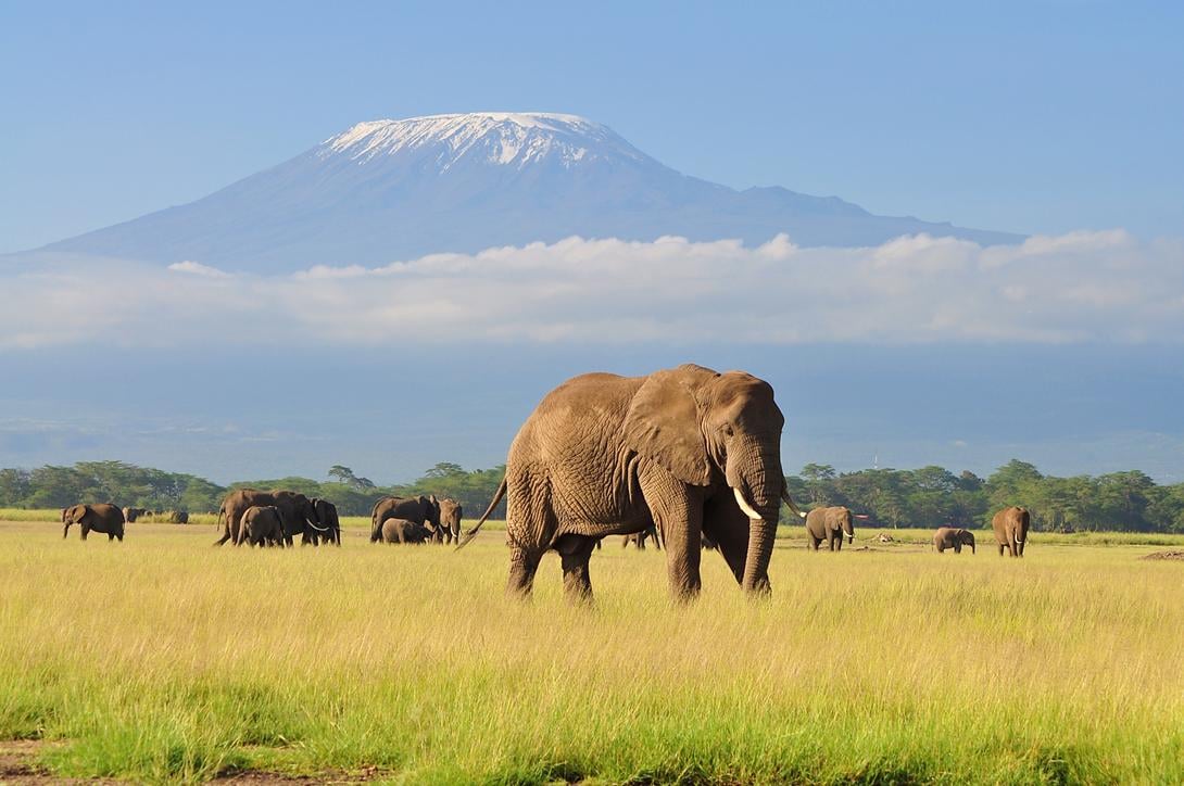 Kenya