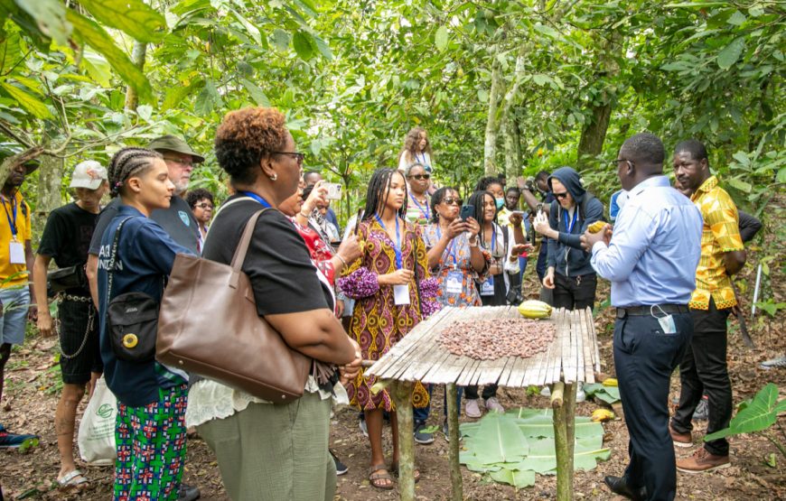 2026 Sankofa Legacy Journeys™ – Book 7-Day Package