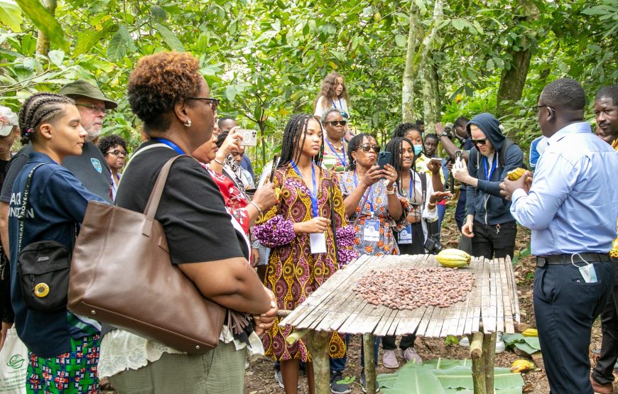 Tour Tetteh Quarshie Cocoa Farm, Aburi Gardens, Craft Village, and Waterfalls, Ghana