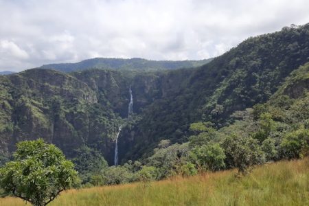 Volta Region Tour to Aqua Safari, Tafi Atome Monkey Sanctuary, Mount Afadjato, and Wli Waterfalls