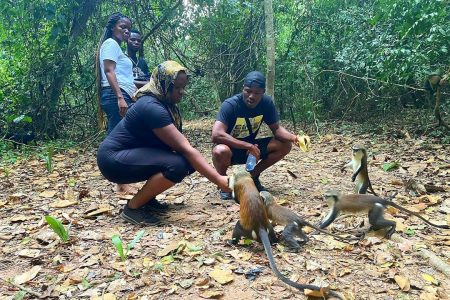 A thrilling 3-Day Volta & Eastern Region Adventure