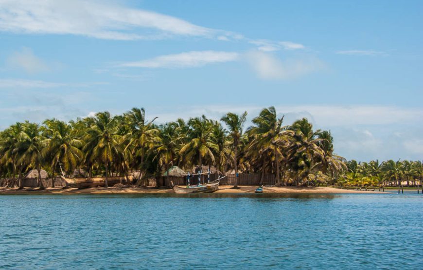 Ada Coastal Escape: River Cruise, Aqua Safari & Wonderland Adventure