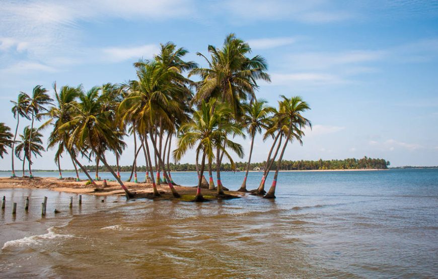 Ada Coastal Escape: River Cruise, Aqua Safari & Wonderland Adventure