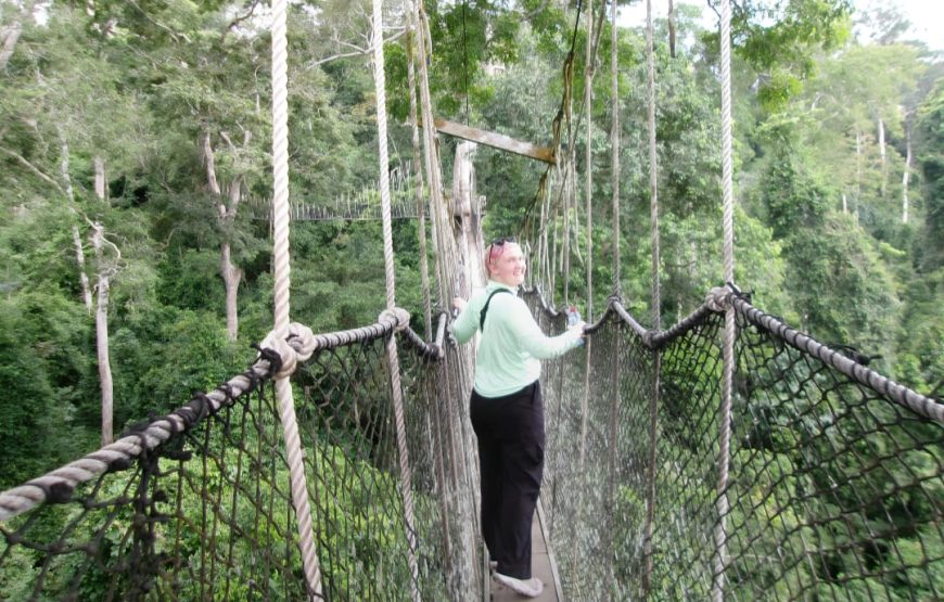 Ancient Capital Experience – History and Adventure in Ghana’s Central Region 🇬🇭