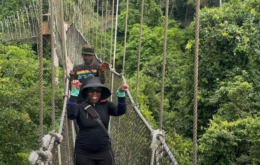 Ancient Capital Experience – History and Adventure in Ghana’s Central Region 🇬🇭